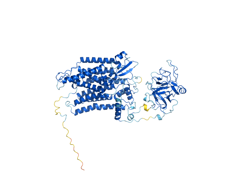 AlphaFold predicted structure of PMT4