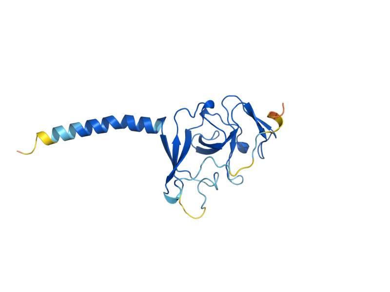 AlphaFold predicted structure of IMP2