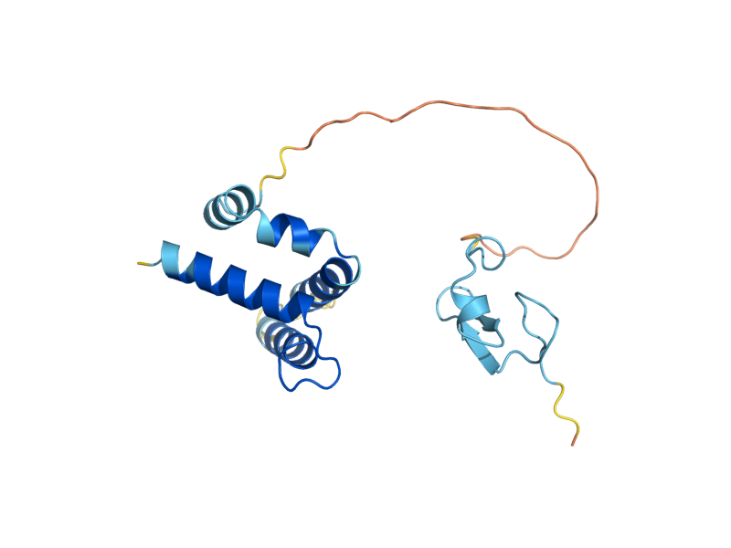 AlphaFold predicted structure of HIT1