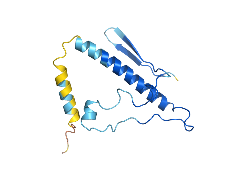 AlphaFold predicted structure of GON7