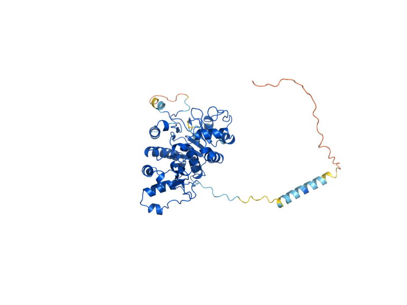 AlphaFold predicted structure of MNN11