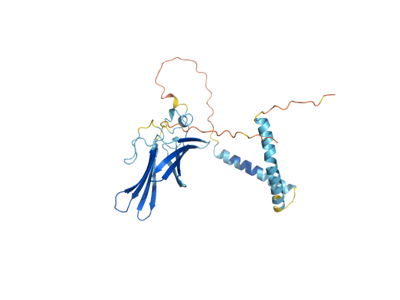 AlphaFold predicted structure of ATG27