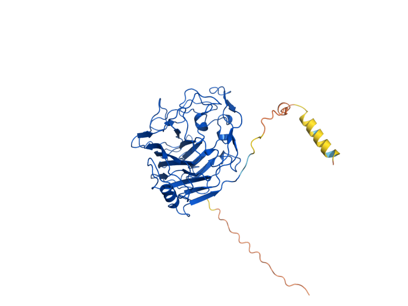 AlphaFold predicted structure of TOH1