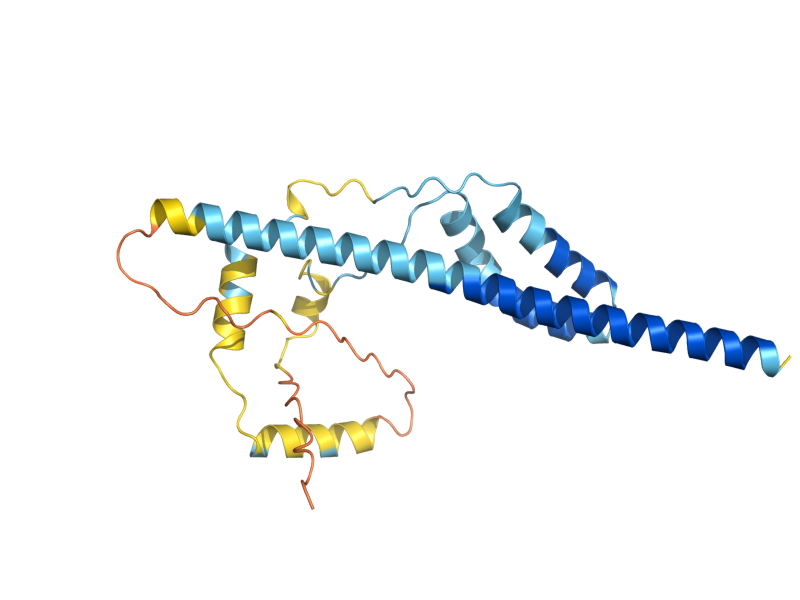 AlphaFold predicted structure of ASG7
