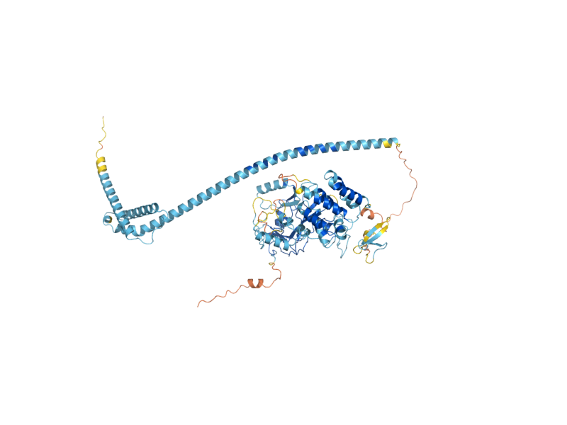 AlphaFold predicted structure of SET2