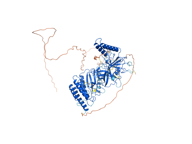 AlphaFold predicted structure of SSY5