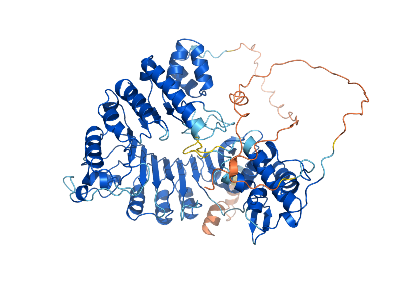 AlphaFold predicted structure of DAS1