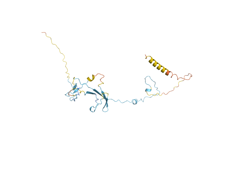 AlphaFold predicted structure of RPA34