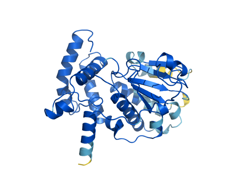 AlphaFold predicted structure of SFH5