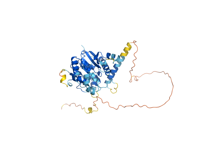 AlphaFold predicted structure of GLG2