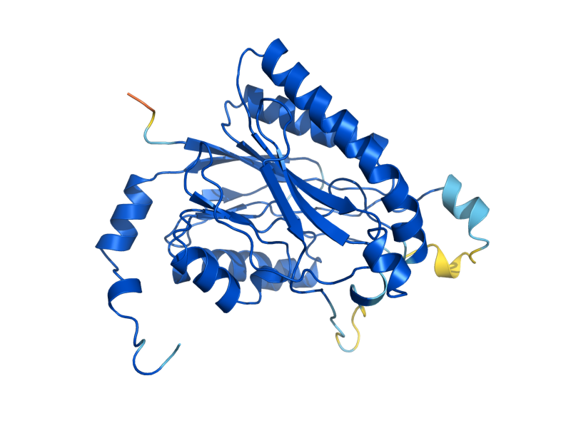 AlphaFold predicted structure of NIT2