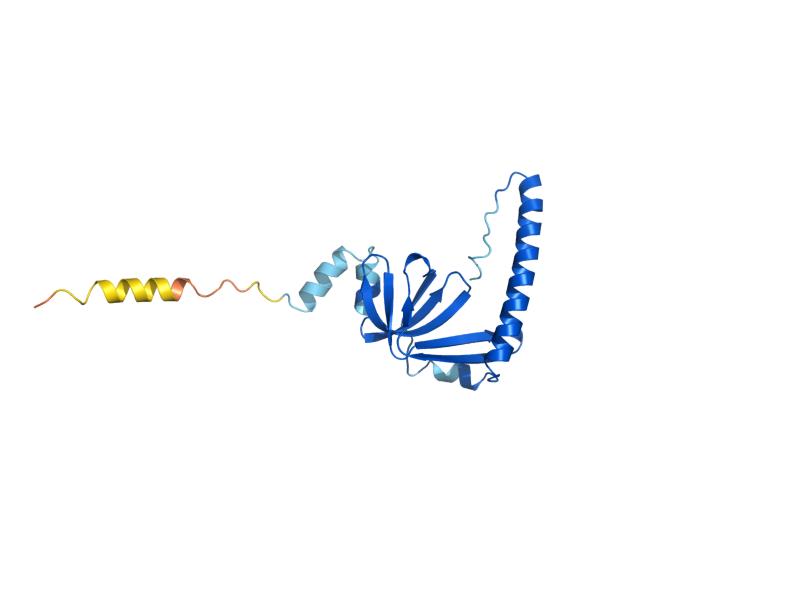 AlphaFold predicted structure of LSM1