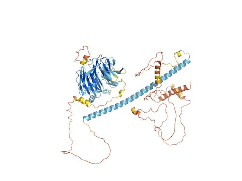 AlphaFold predicted structure of MDV1
