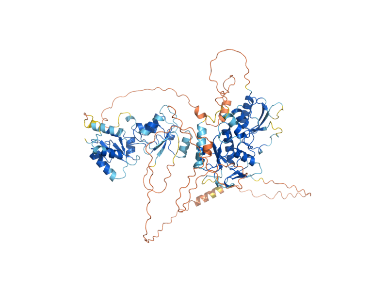 AlphaFold predicted structure of DPB11