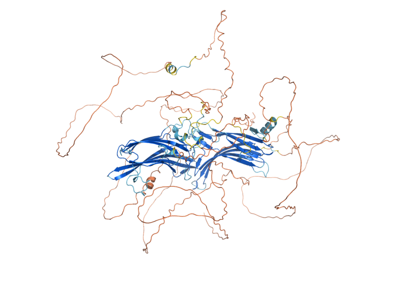 AlphaFold predicted structure of ALY2