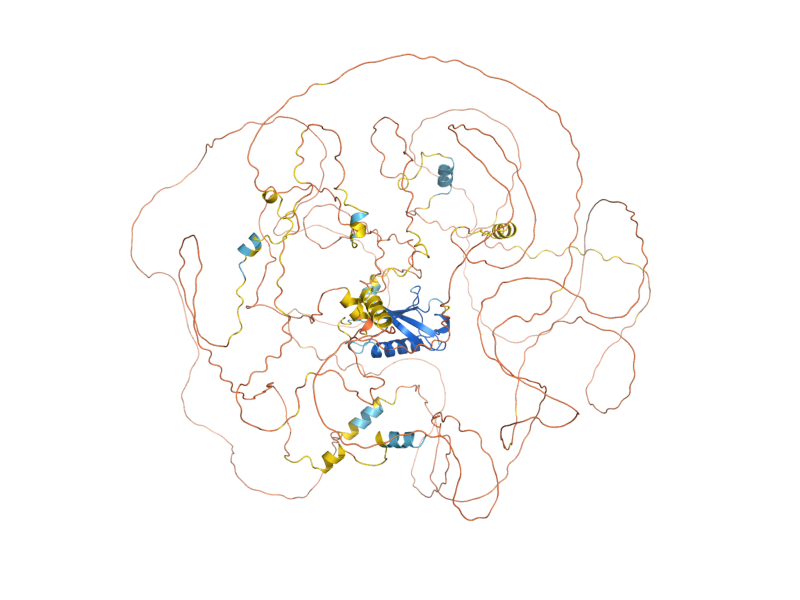 AlphaFold predicted structure of NET1