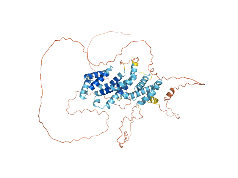 AlphaFold predicted structure of BIT61