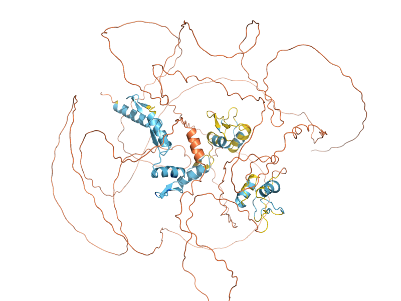 AlphaFold predicted structure of ZAP1