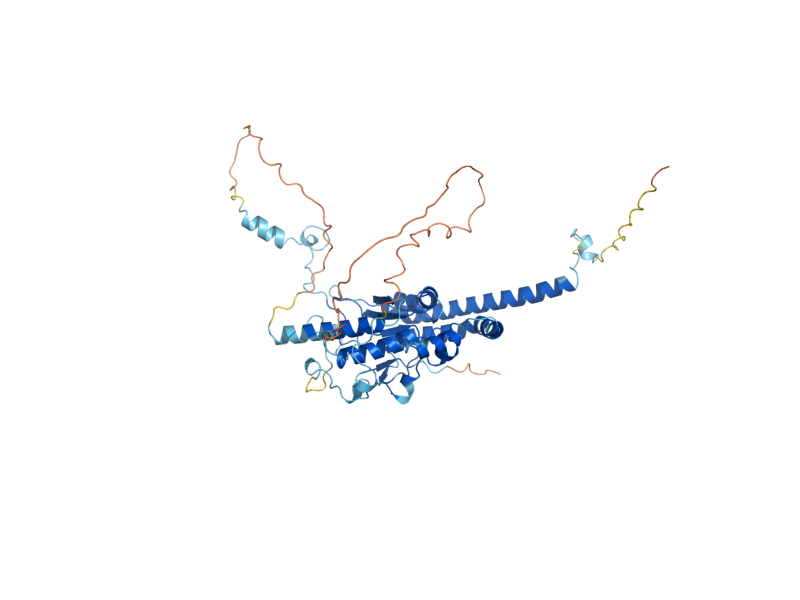 AlphaFold predicted structure of TIM54