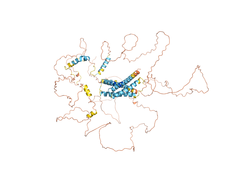 AlphaFold predicted structure of IRC8