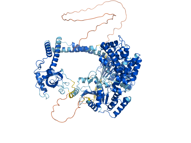 AlphaFold predicted structure of MTR4