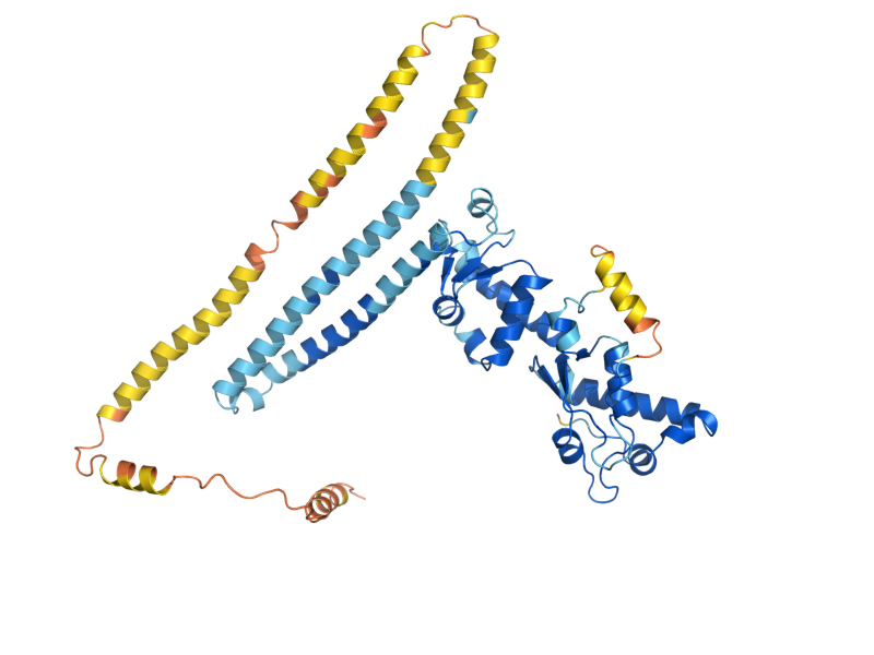 AlphaFold predicted structure of CHM7