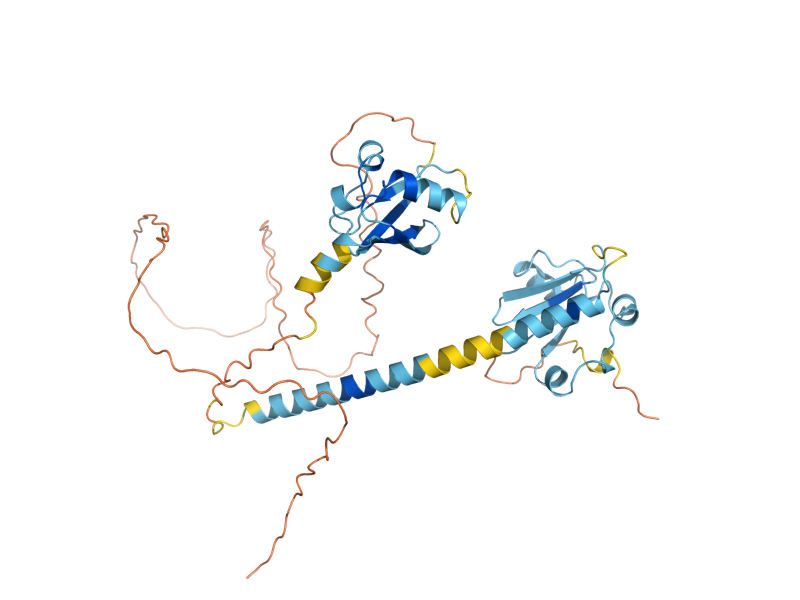 AlphaFold predicted structure of UBX6