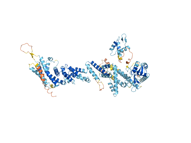 AlphaFold predicted structure of RTT101
