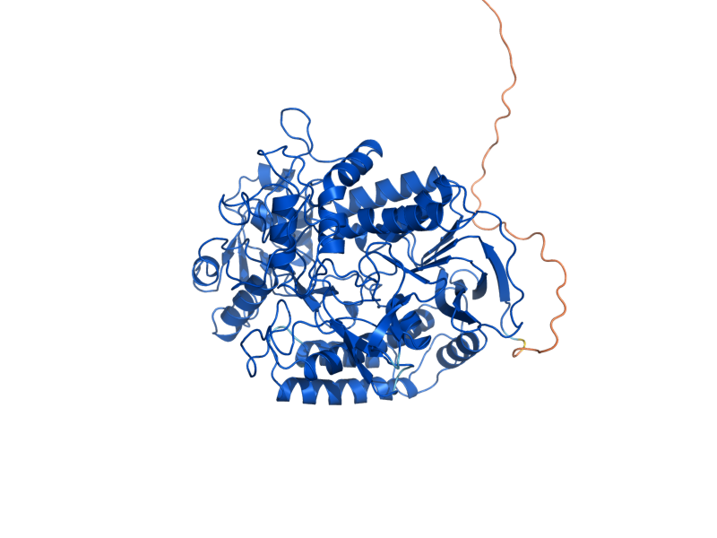 AlphaFold predicted structure of SDH9
