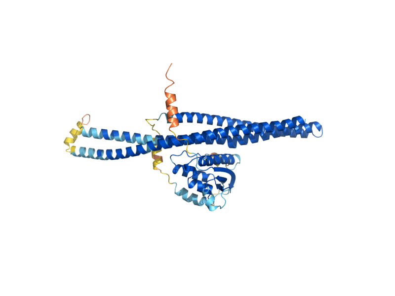AlphaFold predicted structure of SNX4