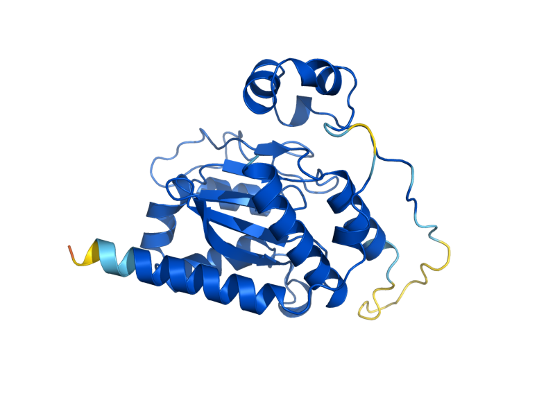 AlphaFold predicted structure of TAD2