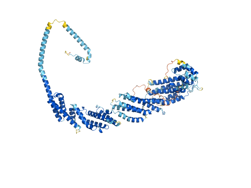 AlphaFold predicted structure of VPS53