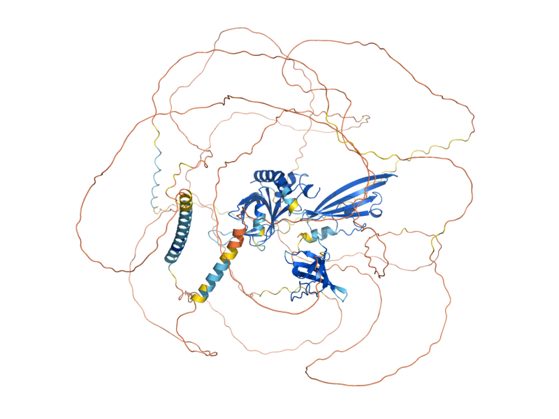 AlphaFold predicted structure of BBC1