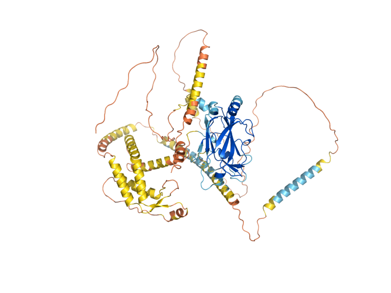 AlphaFold predicted structure of MPS3