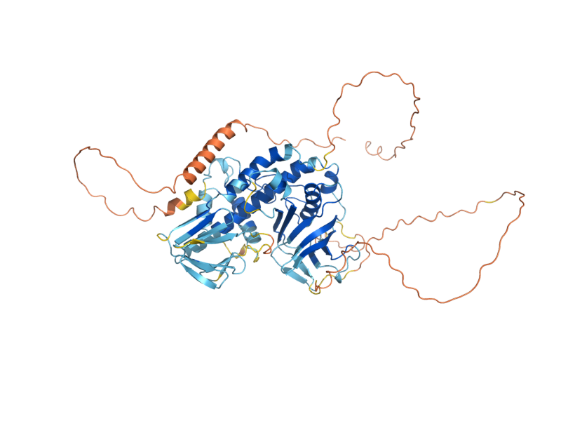 AlphaFold predicted structure of TPH3