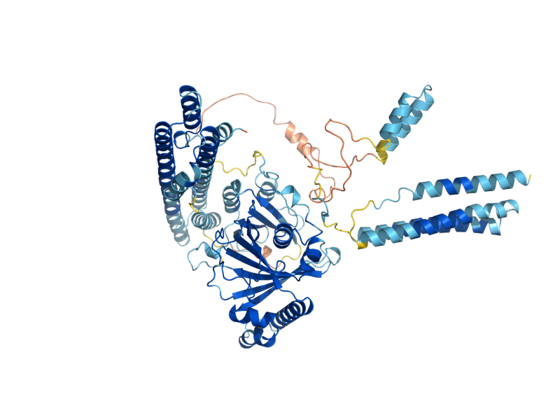 AlphaFold predicted structure of VTC4