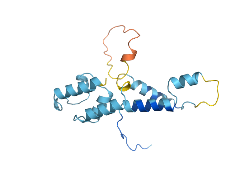 AlphaFold predicted structure of RPC17