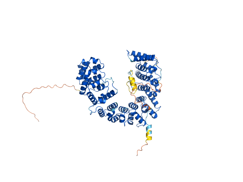 AlphaFold predicted structure of NOP9