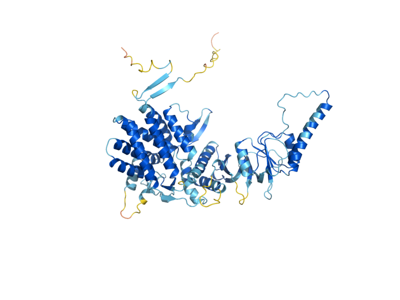 AlphaFold predicted structure of CCT8