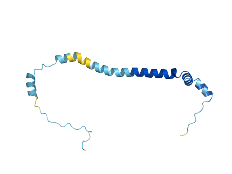 AlphaFold predicted structure of COX16