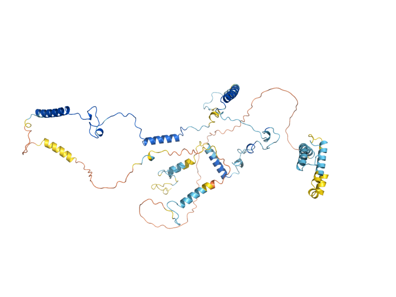AlphaFold predicted structure of MPP10