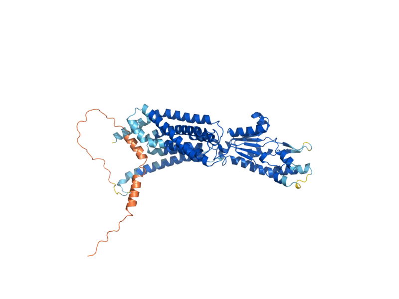 AlphaFold predicted structure of YJR015W