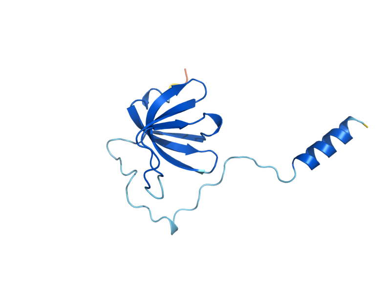 AlphaFold predicted structure of LSM8