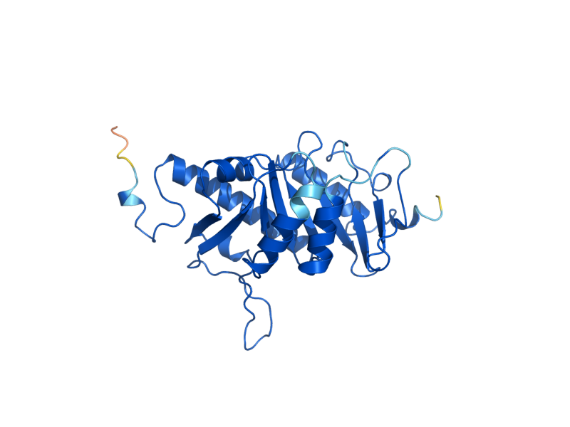 AlphaFold predicted structure of MDE1