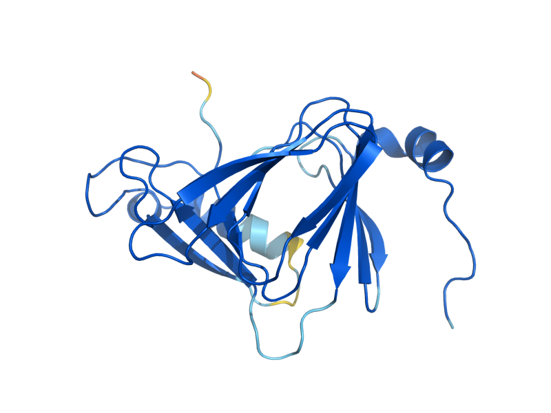 AlphaFold predicted structure of BNA1