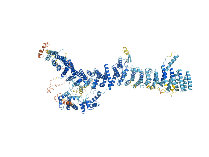 AlphaFold predicted structure of GEA1