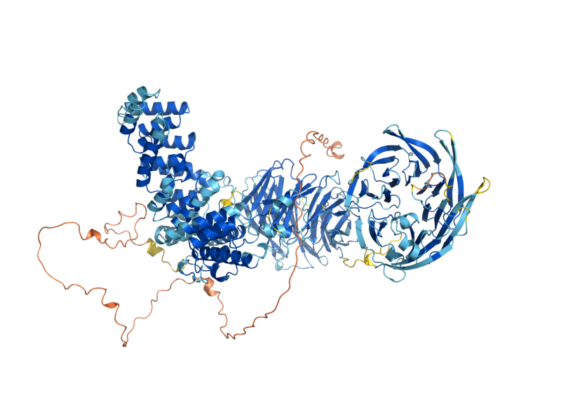 AlphaFold predicted structure of RAV1