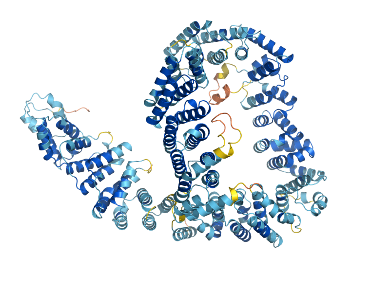 AlphaFold predicted structure of URB2