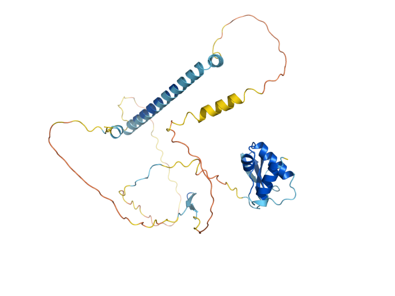 AlphaFold predicted structure of POL32