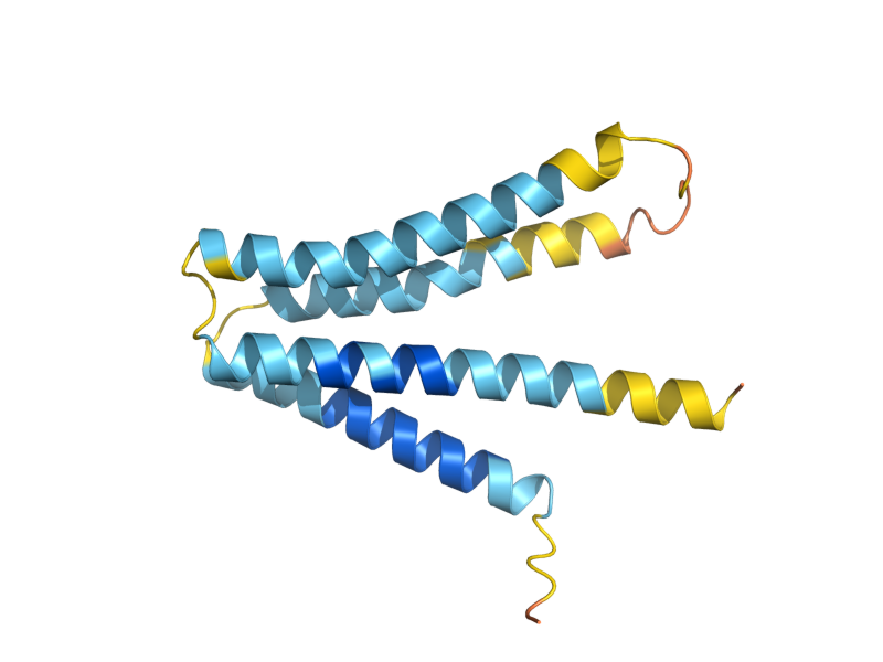 AlphaFold predicted structure of VPS55
